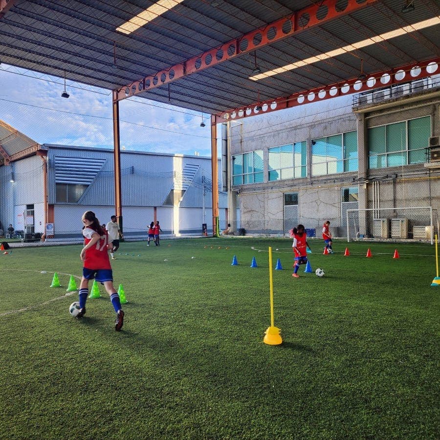 The covered pitch set out with cones and balls at the start of a session